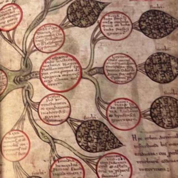 "The Book of Trees: Visualizing Branches of Knowledge" Hardcover 209 Pages - Picture 8 of 13